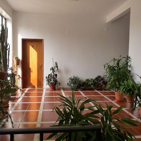 Residencial O Bras Hotell Alvaiázere Exteriör bild