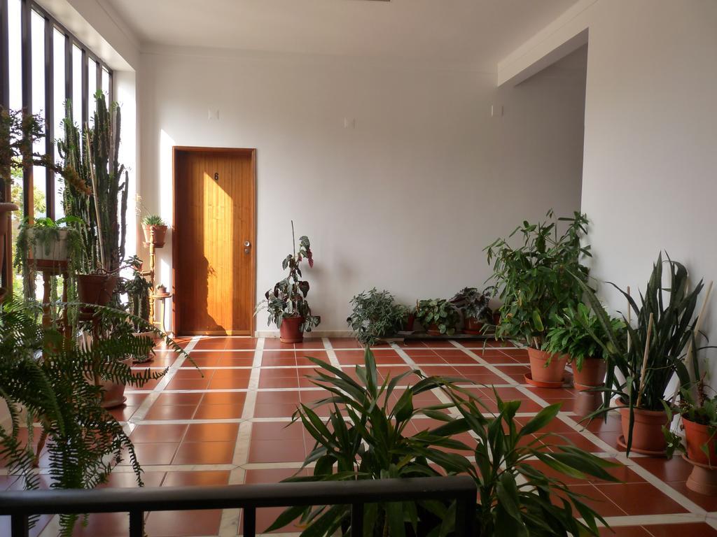 Residencial O Bras Hotell Alvaiázere Exteriör bild